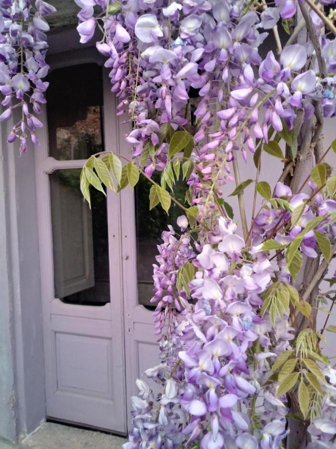 La Culla Di Bacco Bed and Breakfast Castagnole Monferrato Buitenkant foto