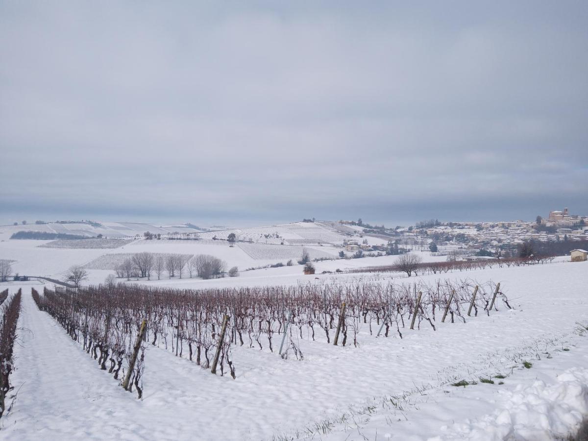 La Culla Di Bacco Bed and Breakfast Castagnole Monferrato Buitenkant foto