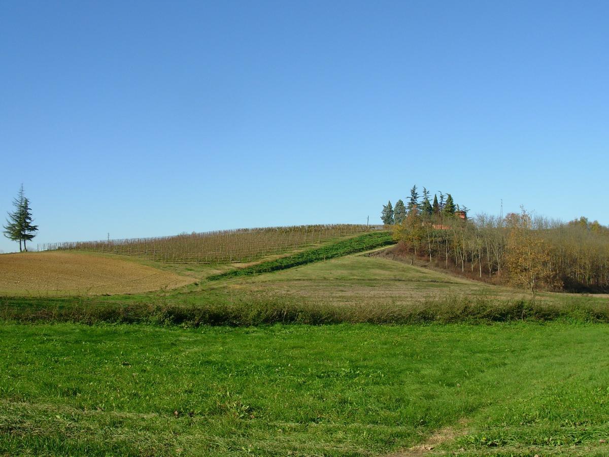 La Culla Di Bacco Bed and Breakfast Castagnole Monferrato Buitenkant foto