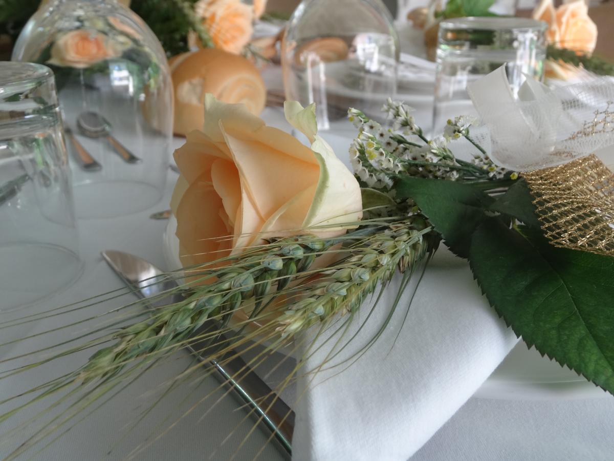 La Culla Di Bacco Bed and Breakfast Castagnole Monferrato Buitenkant foto