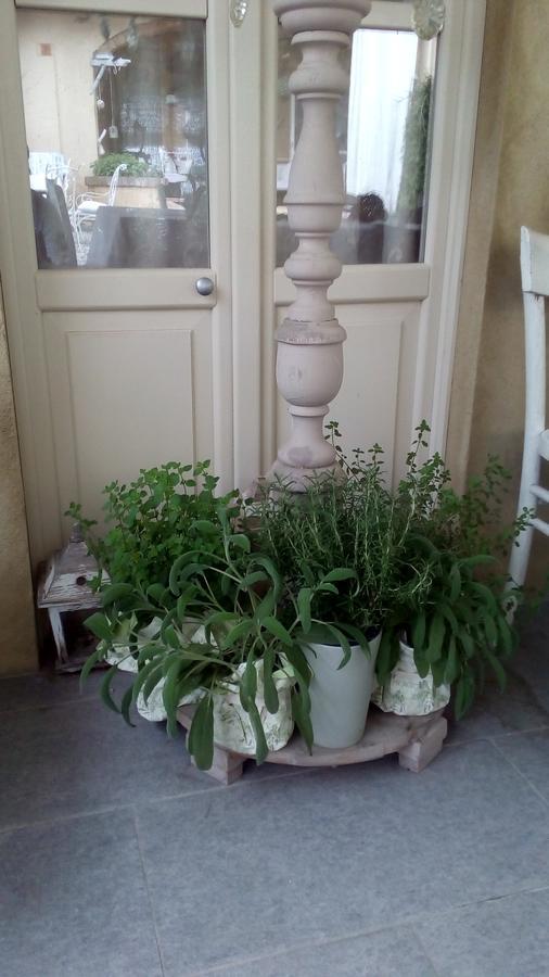 La Culla Di Bacco Bed and Breakfast Castagnole Monferrato Buitenkant foto